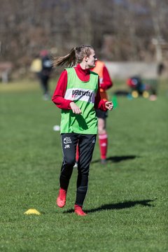 Bild 181 - F SG NieBar - IF Stjernen Flensborg : Ergebnis: 4:1